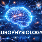 neurophysiology
